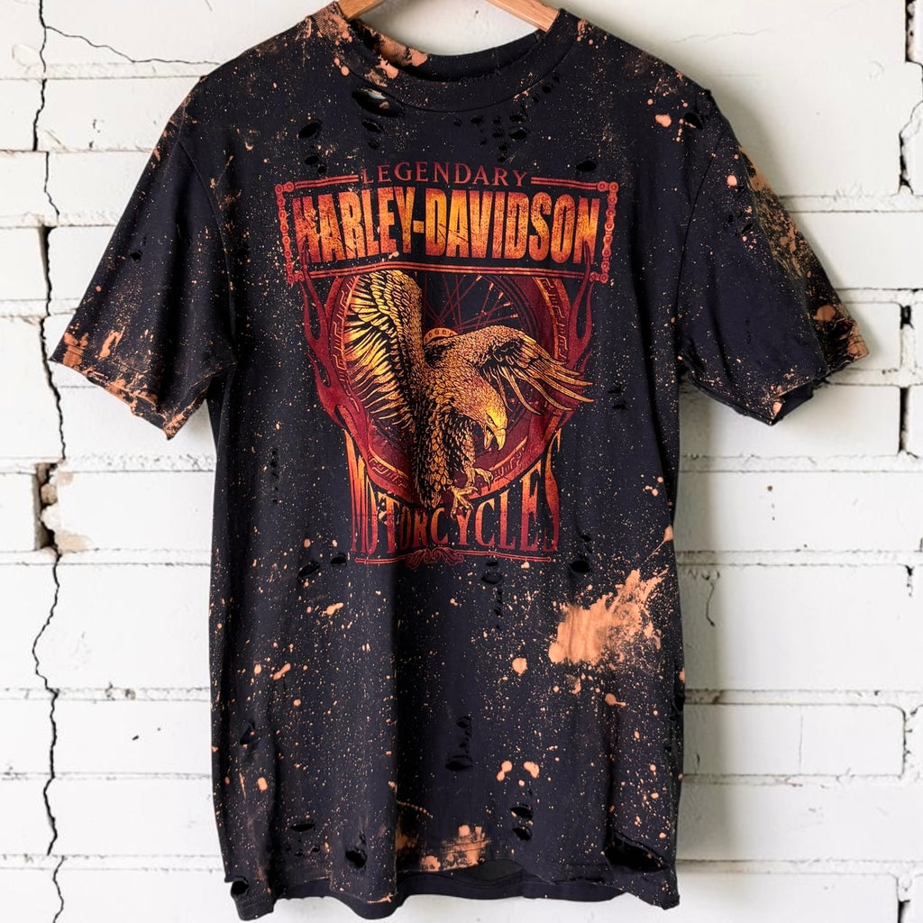 Harley Davidson France Bleached Distressed Tee