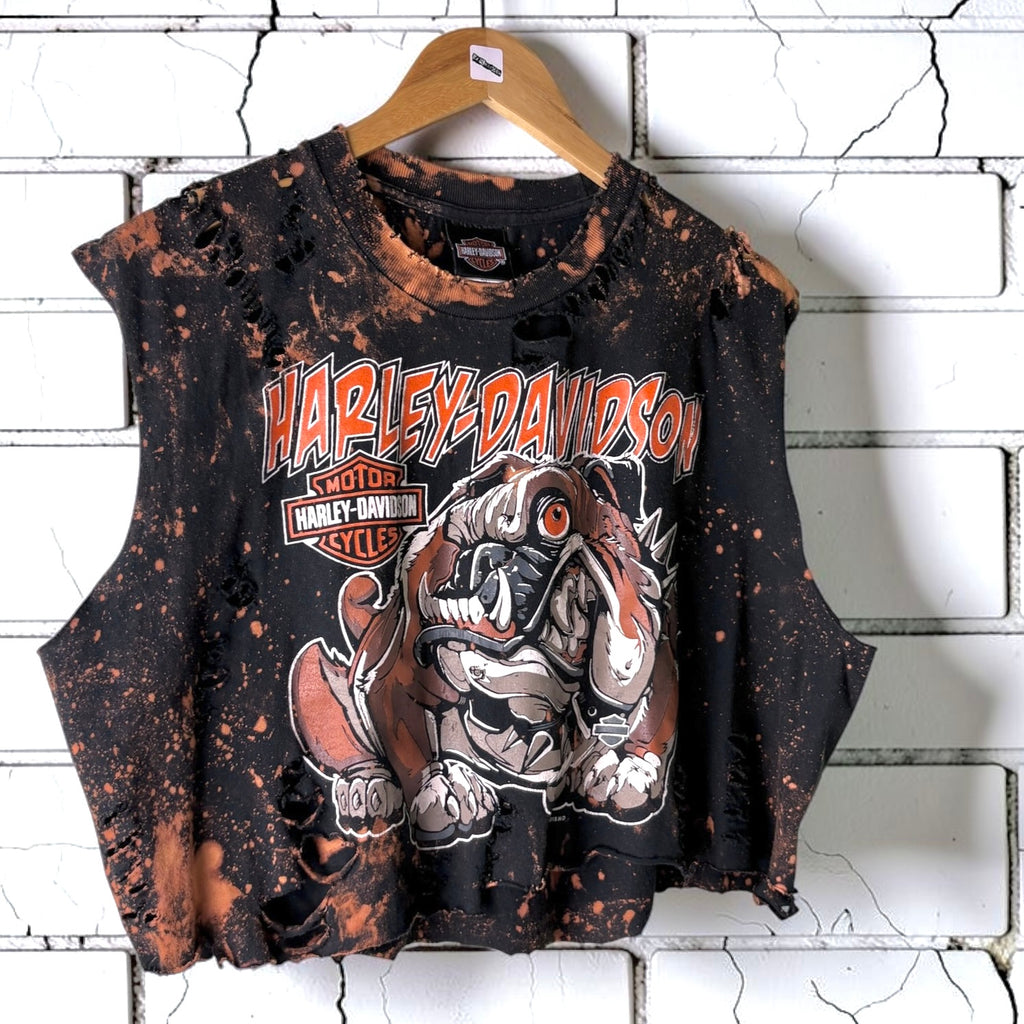 Harley Davidson Ohio Bleached Distressed Cropped Tee