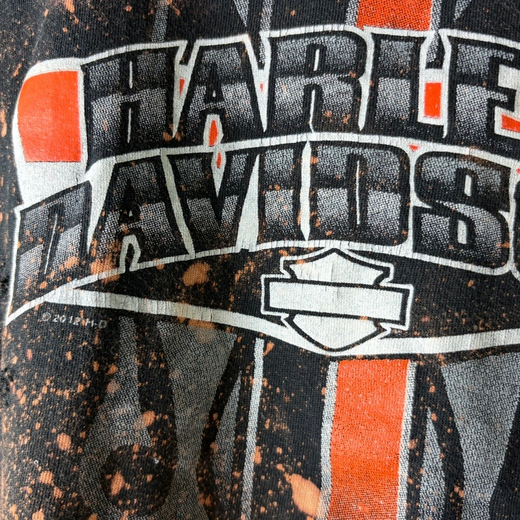 Harley Davidson Virginia Beach Bleached Distressed Cropped Tee
