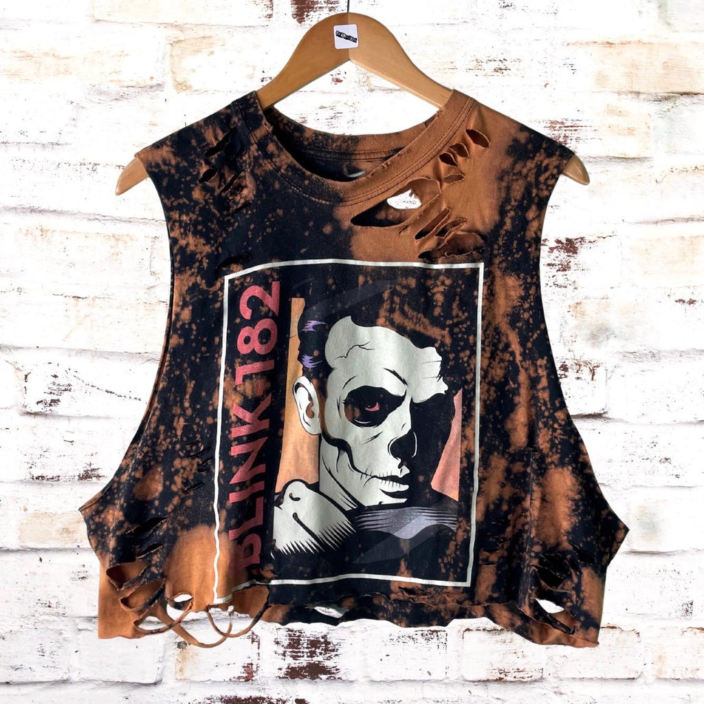 Blink 182 Distressed Tour Tee