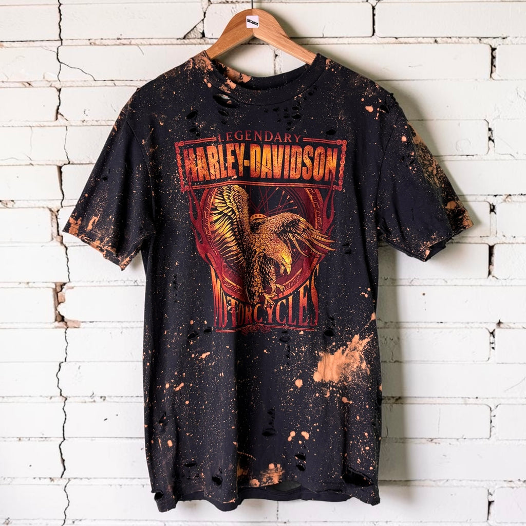 Harley Davidson France Bleached Distressed Tee