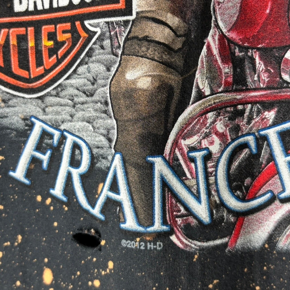 Harley Davidson France Bleached Distressed Tee