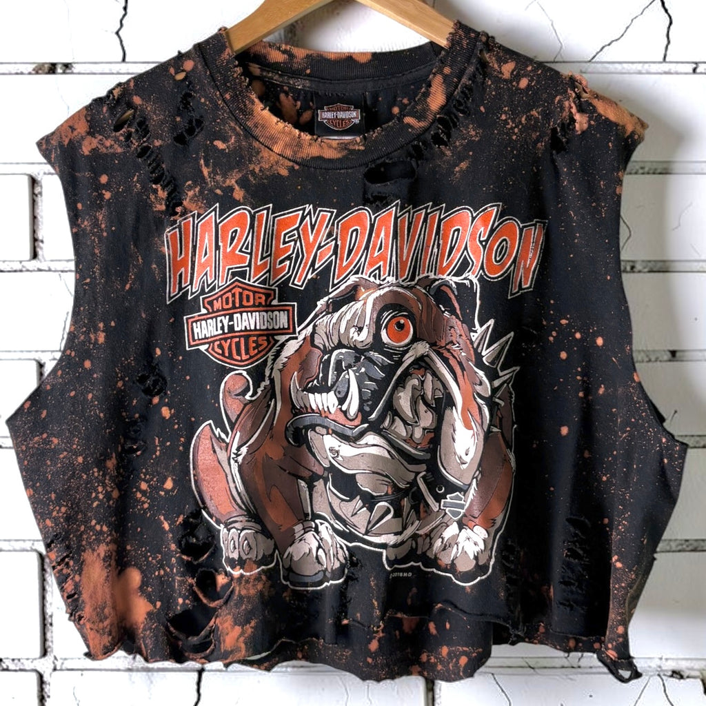 Harley Davidson Ohio Bleached Distressed Cropped Tee