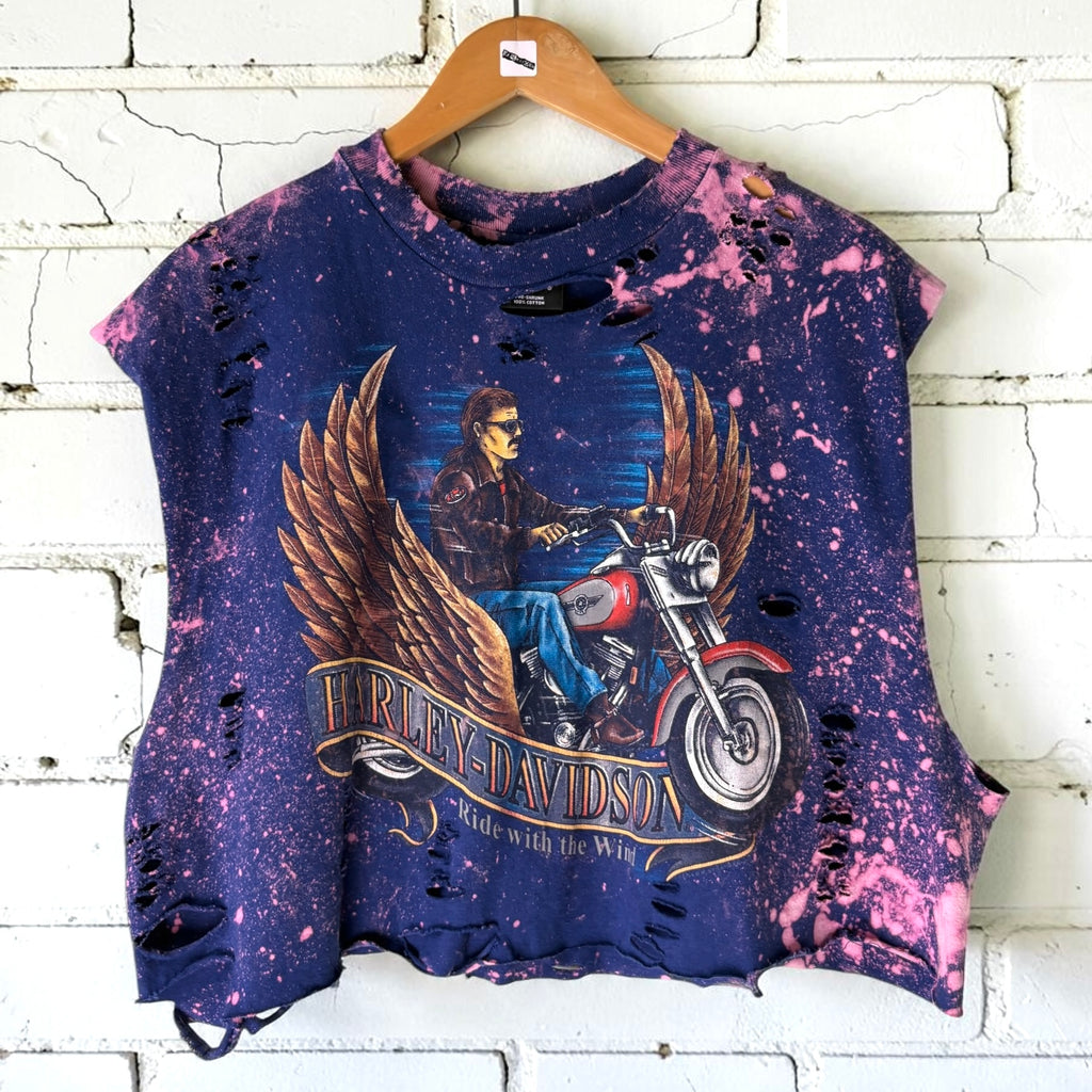 Harley Davidson Indiana Bleached Distressed Vintage Tee