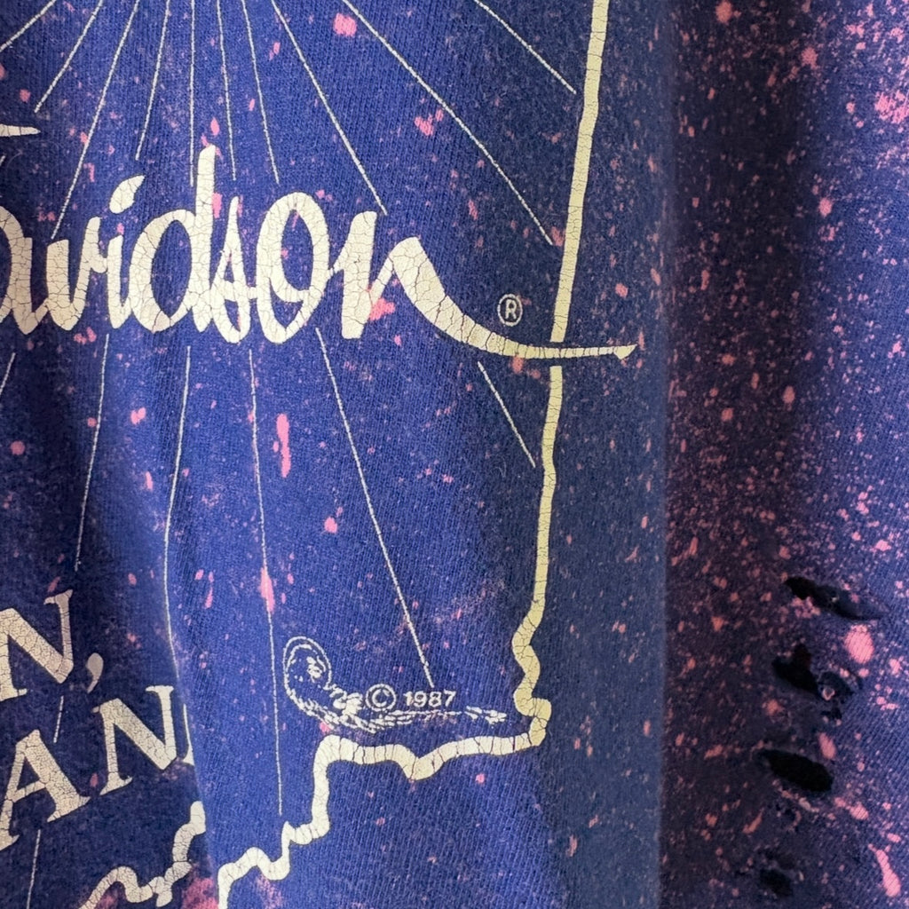 Harley Davidson Indiana Bleached Distressed Vintage Tee