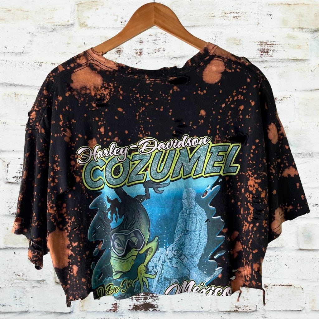 Harley Davidson Mexico Bleached Crop Tee