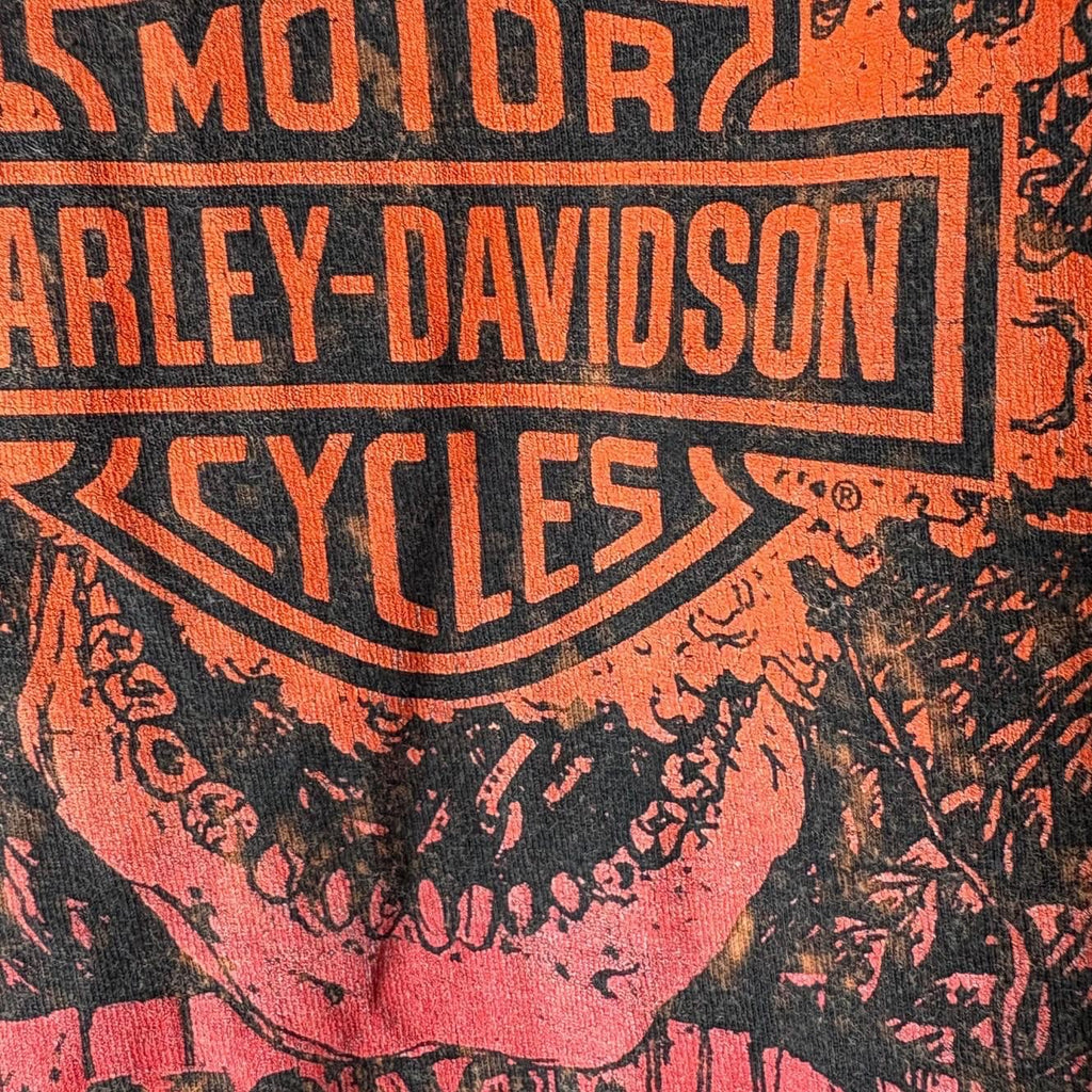 Harley Davidson Chicago Distressed Cropped Tee